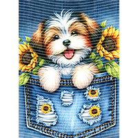 Animal Text Series-AT 2380